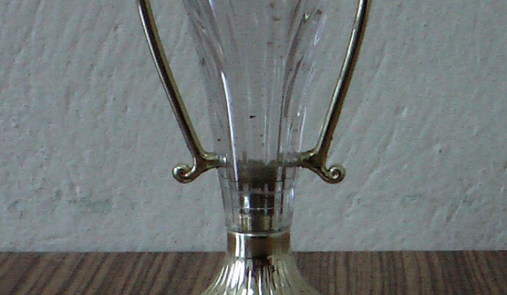 6. fotografia fotogalérie Združenia v obci / DHZ Richvald - foto