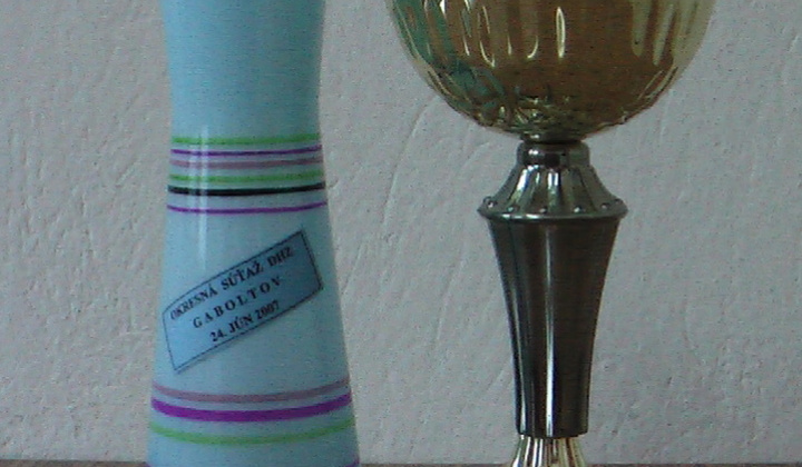 8. fotografia fotogalérie Združenia v obci / DHZ Richvald - foto