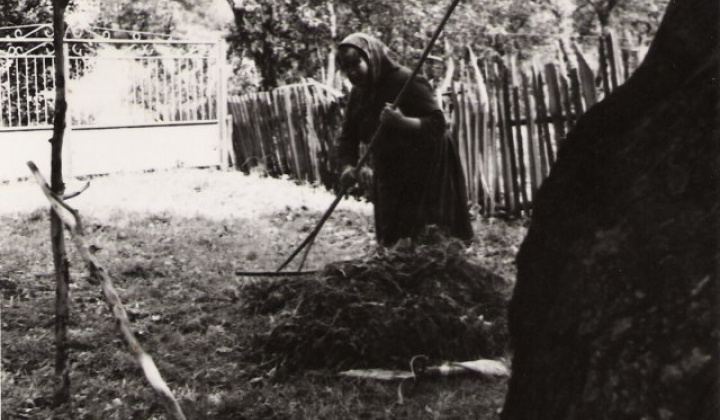 17. fotografia fotogalérie Historické