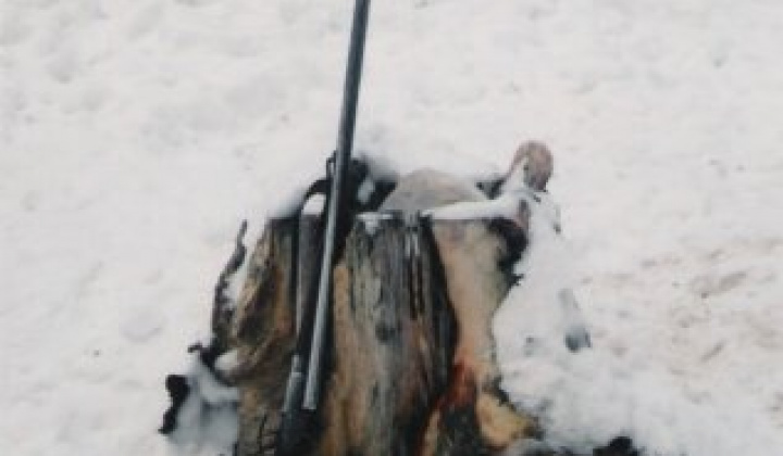 2. fotografia fotogalérie Poľovníci