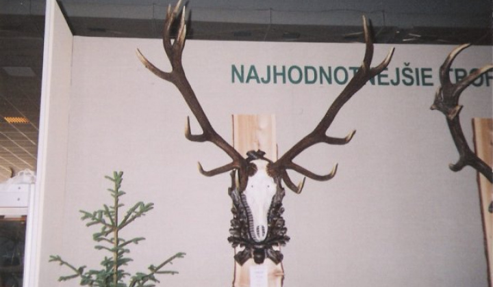 21. fotografia fotogalérie Poľovníci