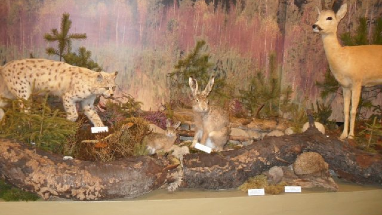 Fotografia fotogalérie SVP Tatranská Lomnica