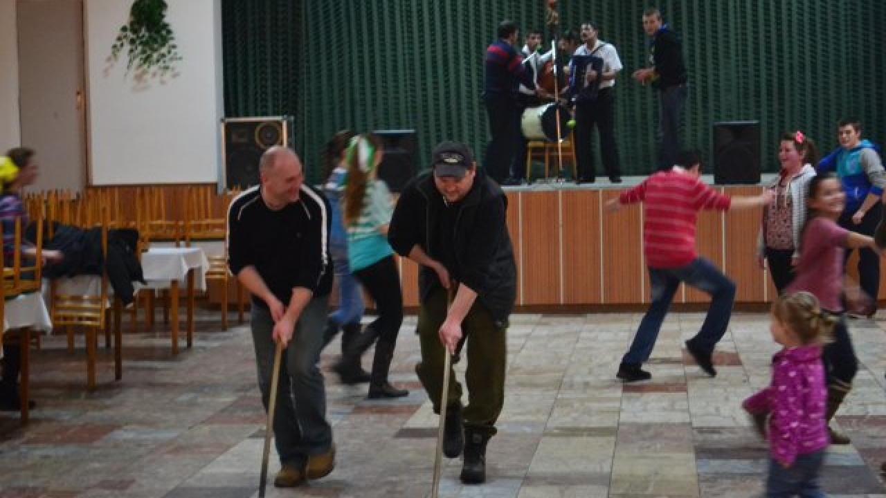 Fotografia fotogalérie 1. obecná zabíjačka