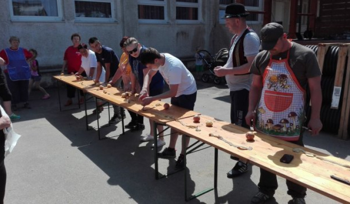 14. fotografia fotogalérie gulas