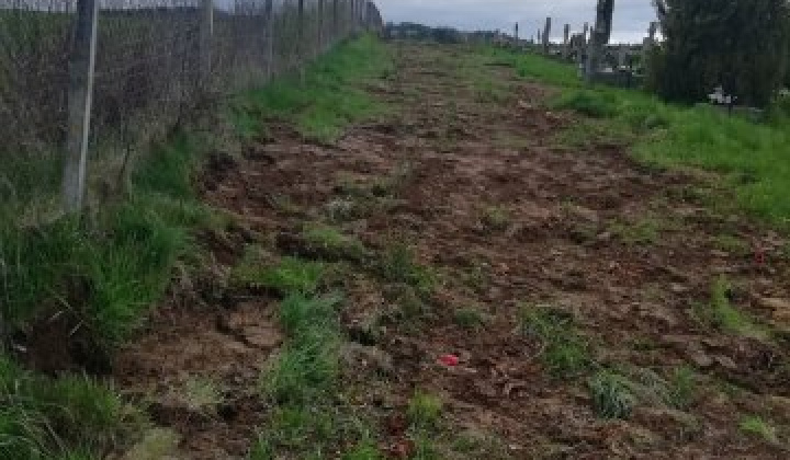 5. fotografia fotogalérie cintorin