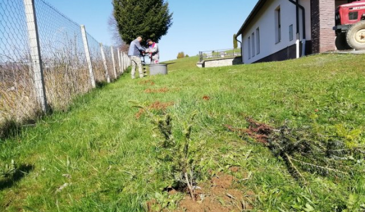 12. fotografia fotogalérie cintorin