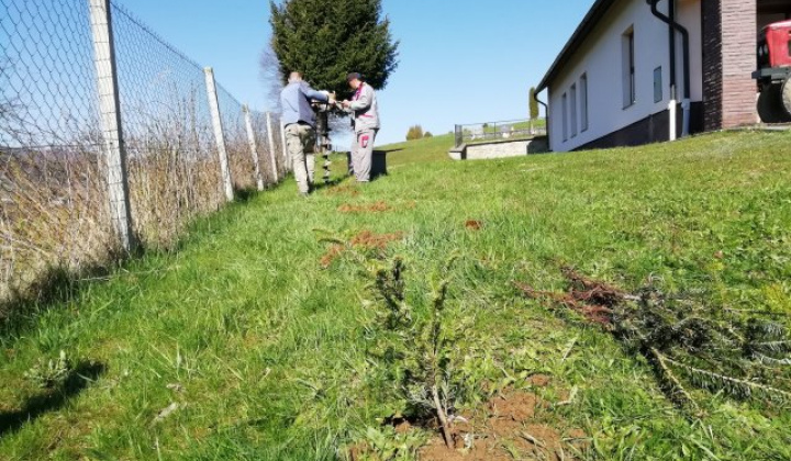 13. fotografia fotogalérie cintorin