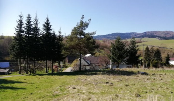 16. fotografia fotogalérie cintorin