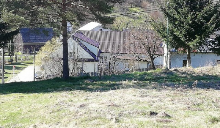 17. fotografia fotogalérie cintorin