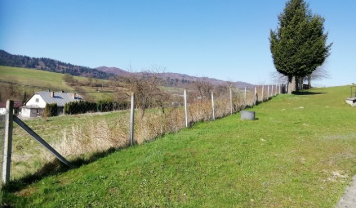 22. fotografia fotogalérie cintorin