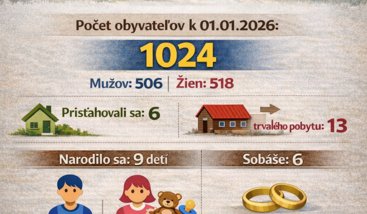 Fotka - Štatistika obce Richvald za rok 2025